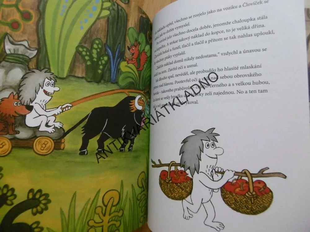 ČLOVÍČKOVA DOBRODRUŽSTVÍ, PAVEL TEISINGER, **an