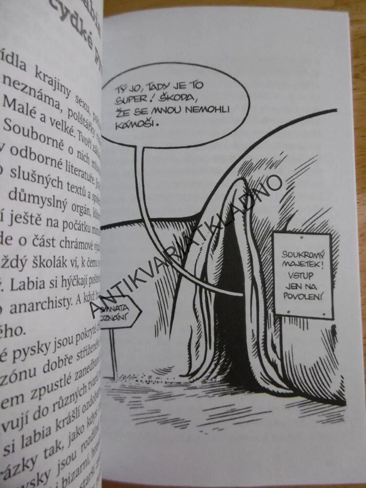 PASTORŮV SEXUÁLNÍ SLOVNÍČEK, ZLATKO PASTOR, ŠTĚPÁN MAREŠ