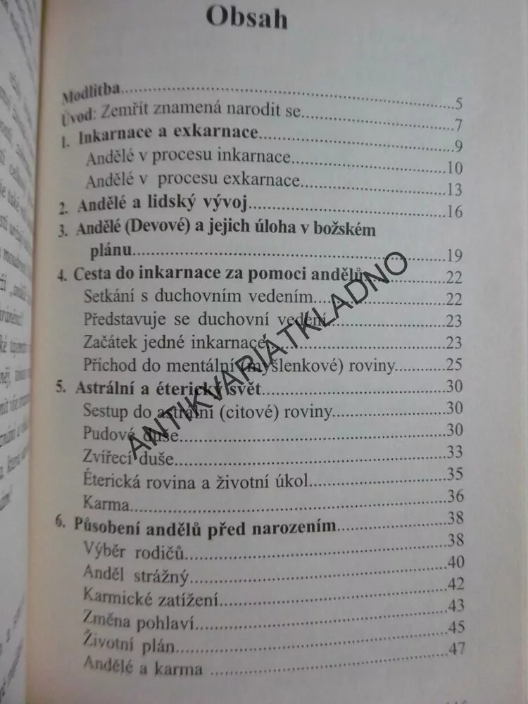 ANDĚLÉ ŽIVOTA A SMRTI, INKARNACE, EXKARNACE, ANDĚLÉ A KARMA, LISELOTTE BAERTZ,