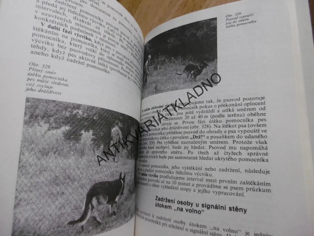 PES A JEHO VÝCVIK, HRUŠOVSKÝ, PSŮ, PES, 
