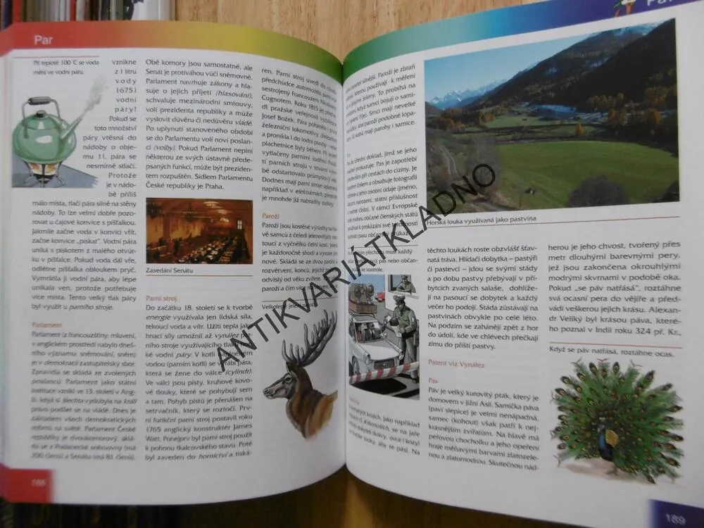 VELKÝ DĚTSKÝ LEXIKON, **an