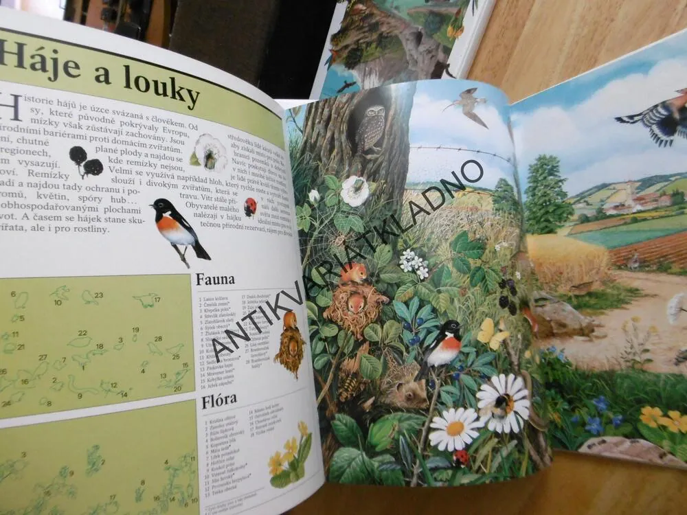 ZÁZRAČNÝ SVĚT PŘÍRODY, 1., HÁJE LOUKY, MOČÁLY, RAŠELINIŠTĚ, AJ.