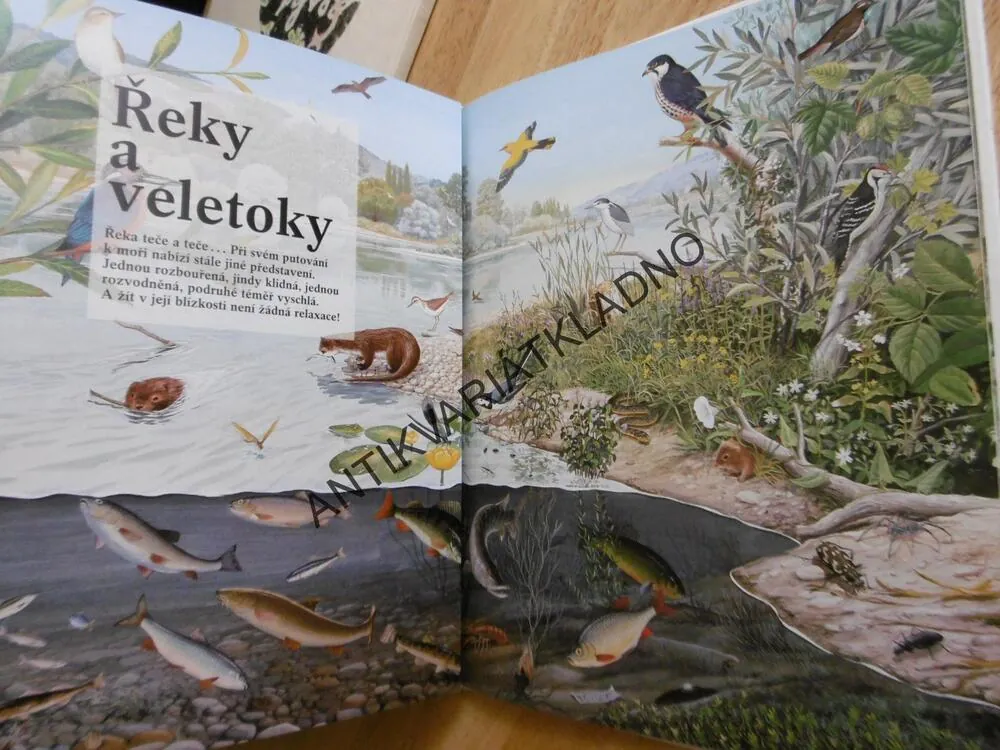 ZÁZRAČNÝ SVĚT PŘÍRODY, 2., GARRIQUE, JESKYNĚ, JEZERA, RYBNÍKY, ŘEKY, VELETOKY, POHOŘÍ