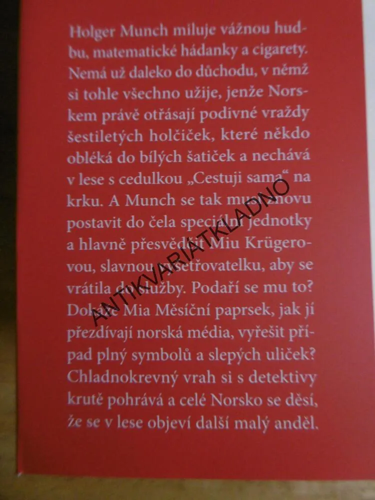 V LESE VISÍ ANDĚL, SAMUEL BJORK, **an
