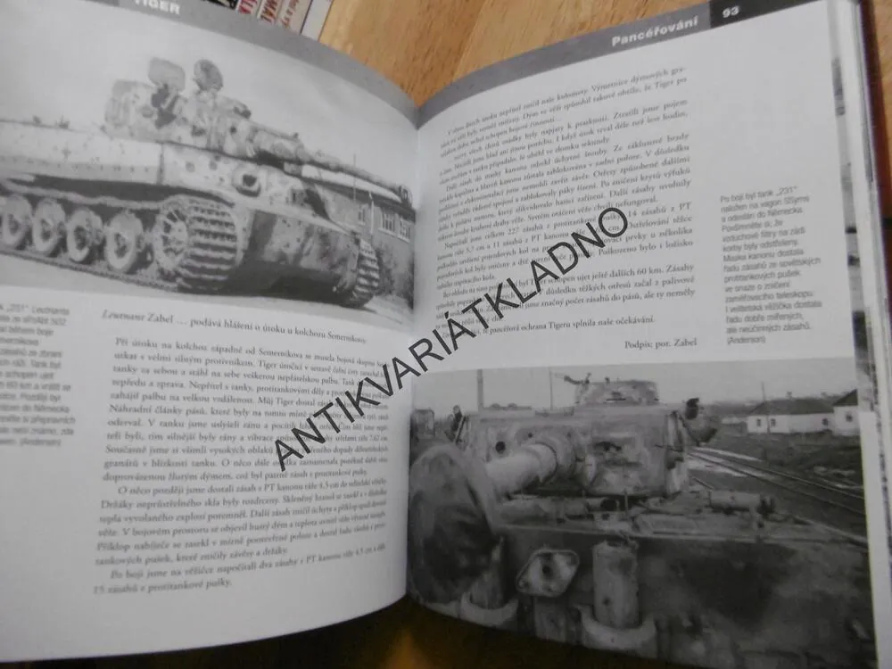 TIGER, TANK,  THOMAS ANDERSON
