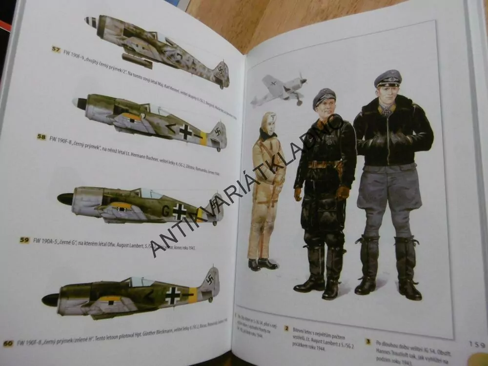 ESA NA FOCKE-WULFECH 190 NA ZÁPADNÍ A VÝCHODNÍ FRONTĚ, JOHN WEAL, **an