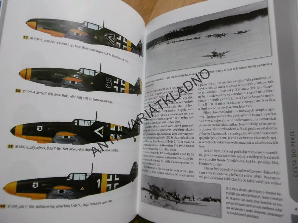 ESA NA BF109 NA VÝCHODNÍ FRONTĚ, JOHN WEAL