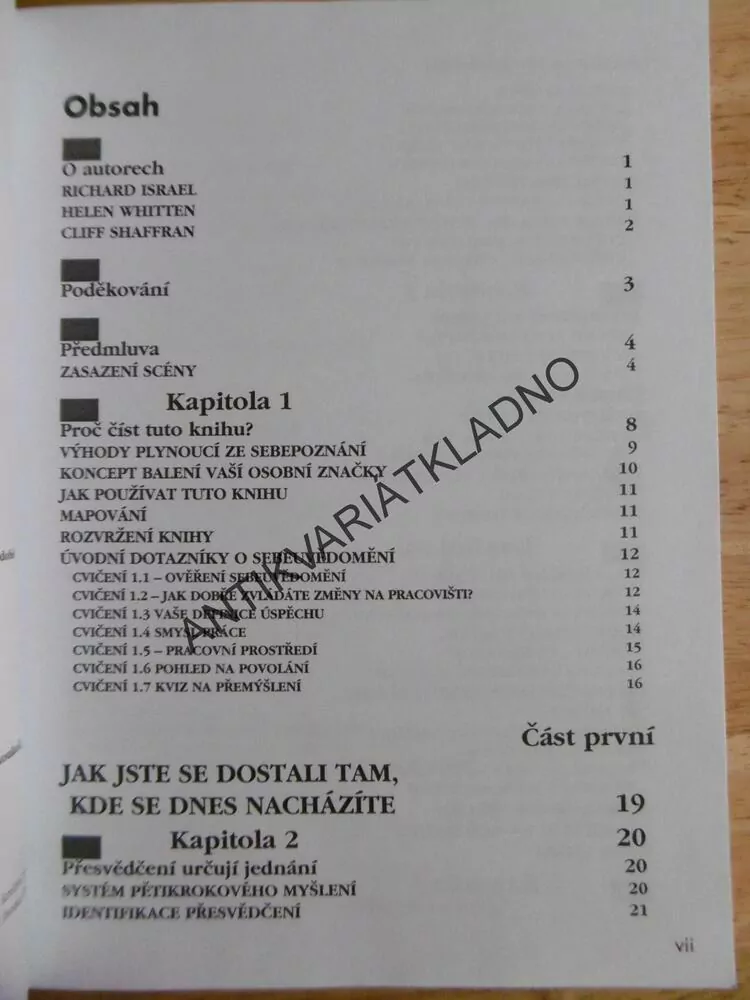 JAK SE PROSADIT V ZAMĚSTNÁNÍ, VYUŽIJ SVÉ SILNÉ STRÁNKY, RICHARD ISRAEL, 