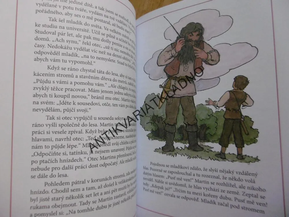 POHÁDKY BRATŘÍ GRIMMŮ, OTAKAR ČEMUS, **an