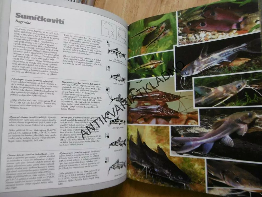AKVARIJNÍ RYBY, ATLAS, WALLY KAHL, PŘES 750 DRUHŮ, **an