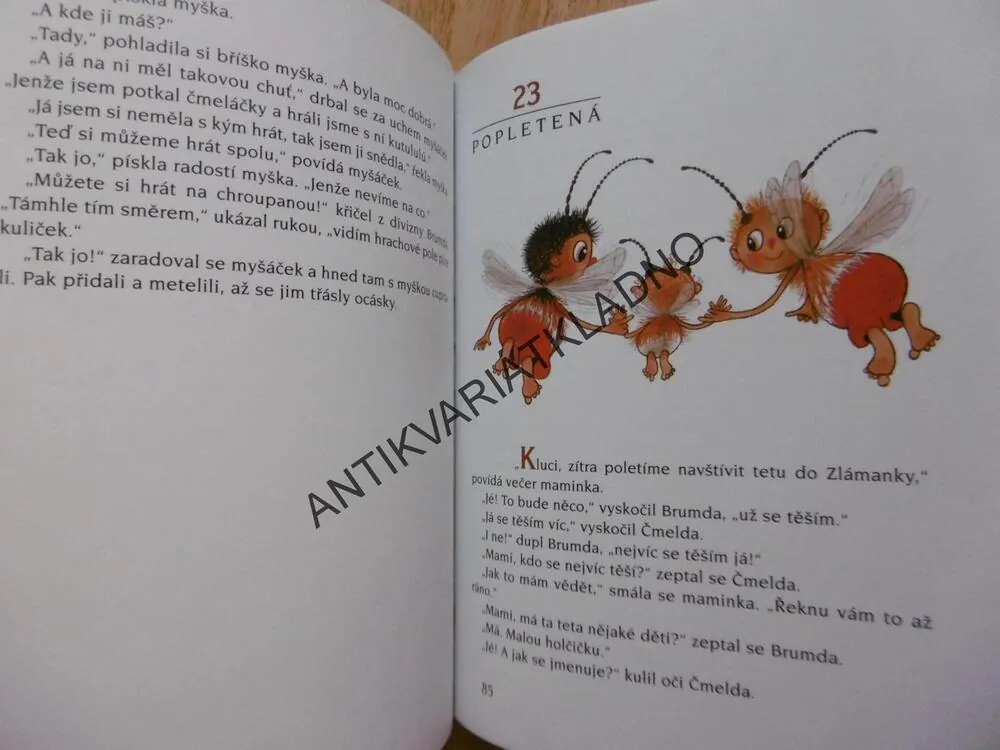 VČELÍ MEDVÍDCI OD JARA DO ZIMY, JIŘÍ KAHOUN, **an