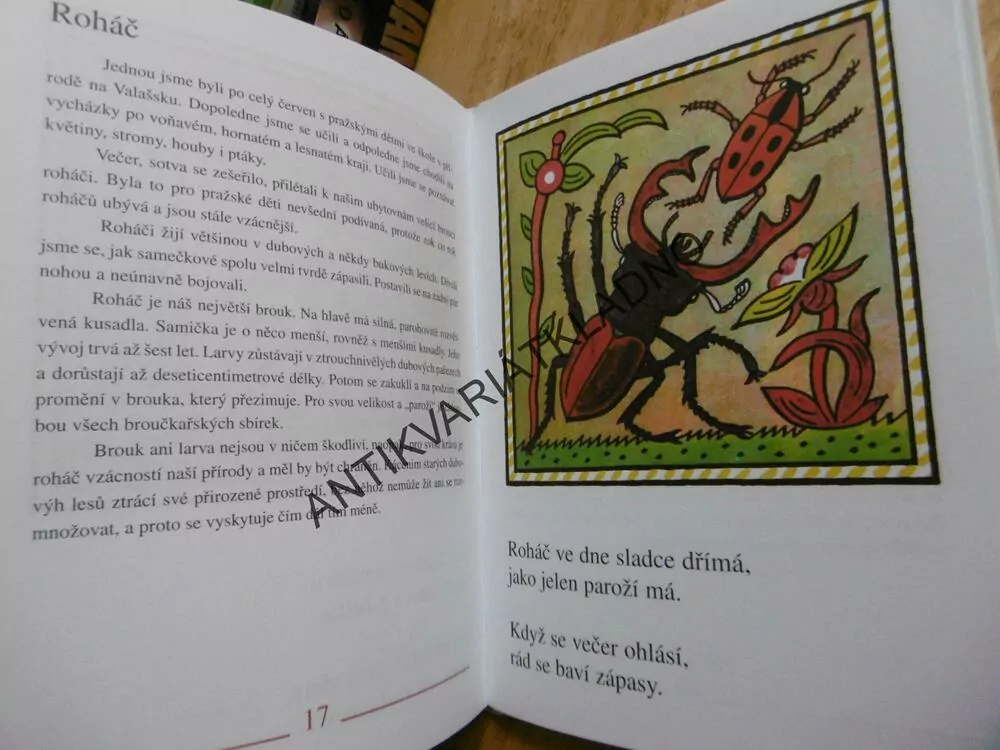 BROUCI A HMYZ, LADOVY VESELÉ UČEBNICE, LADA, STEHLÍK, **an