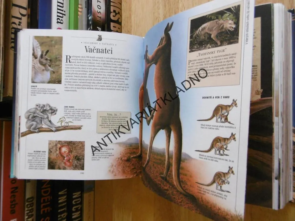 OBRAZOVÁ ENCYKLOPEDIE PŘÍRODA, **an