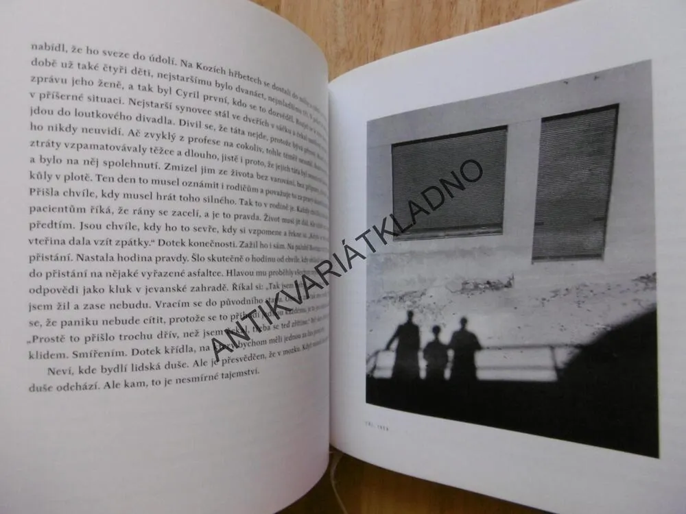 ŠŤASTNÁ HODINA, ZUZANA MALÉŘOVÁ, FOTOGRAFIE EVA FUKOVÁ, **an