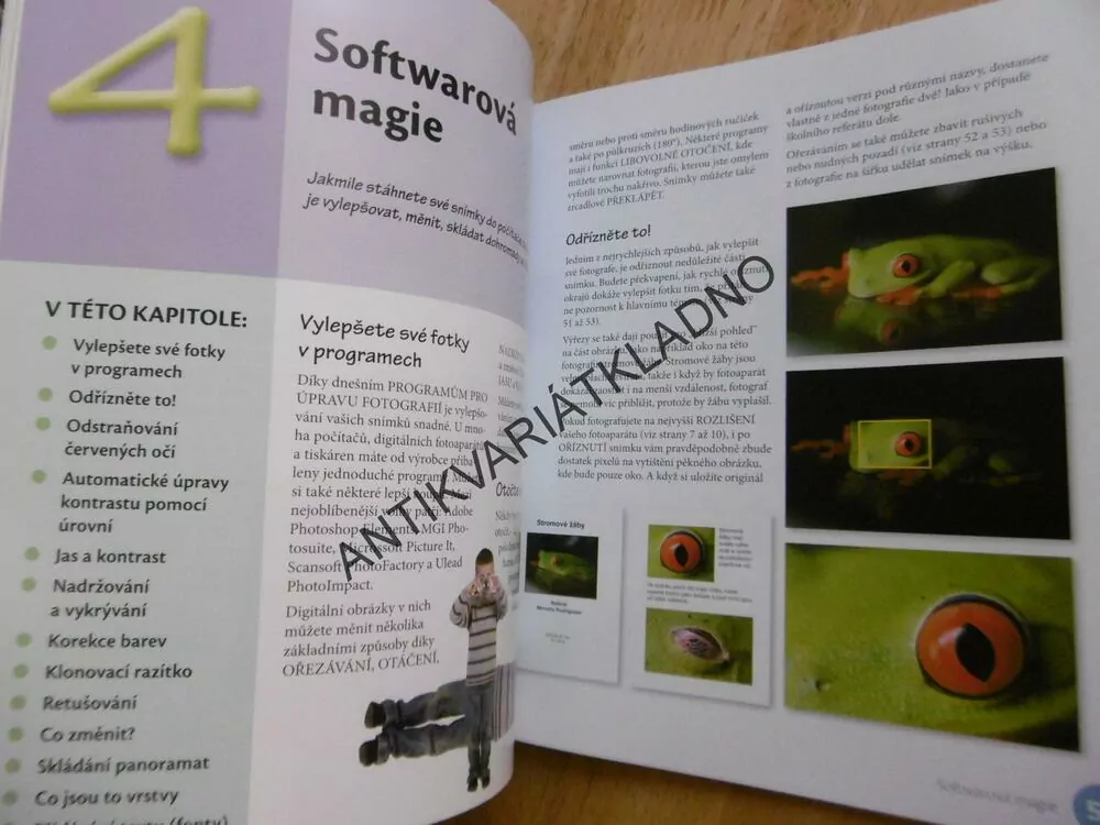 FOTOGRAFOVÁNÍ PRO DĚTI, JAK FOTOGRAFOVAT A ZÁBAVNĚ UPRAVOVAT FOTKY, JENNI BIDNER