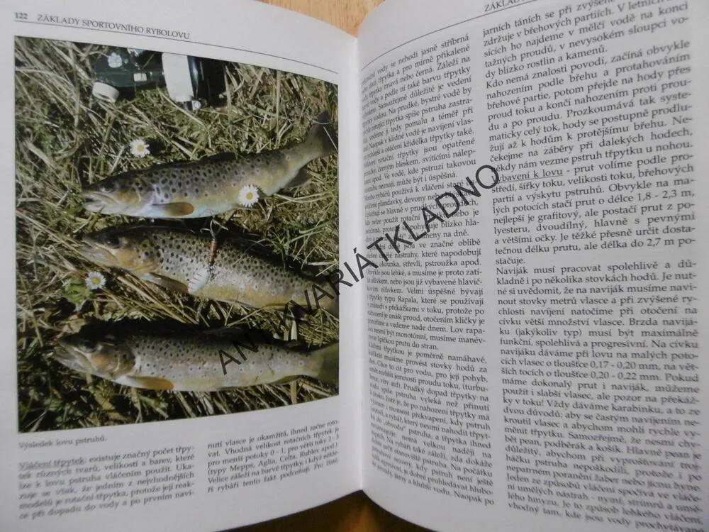 ZÁKLADY SPORTOVNÍHO RYBOLOVU, FRANTIŠEK REISER, NAŠE HOBY, HOBBY, **an