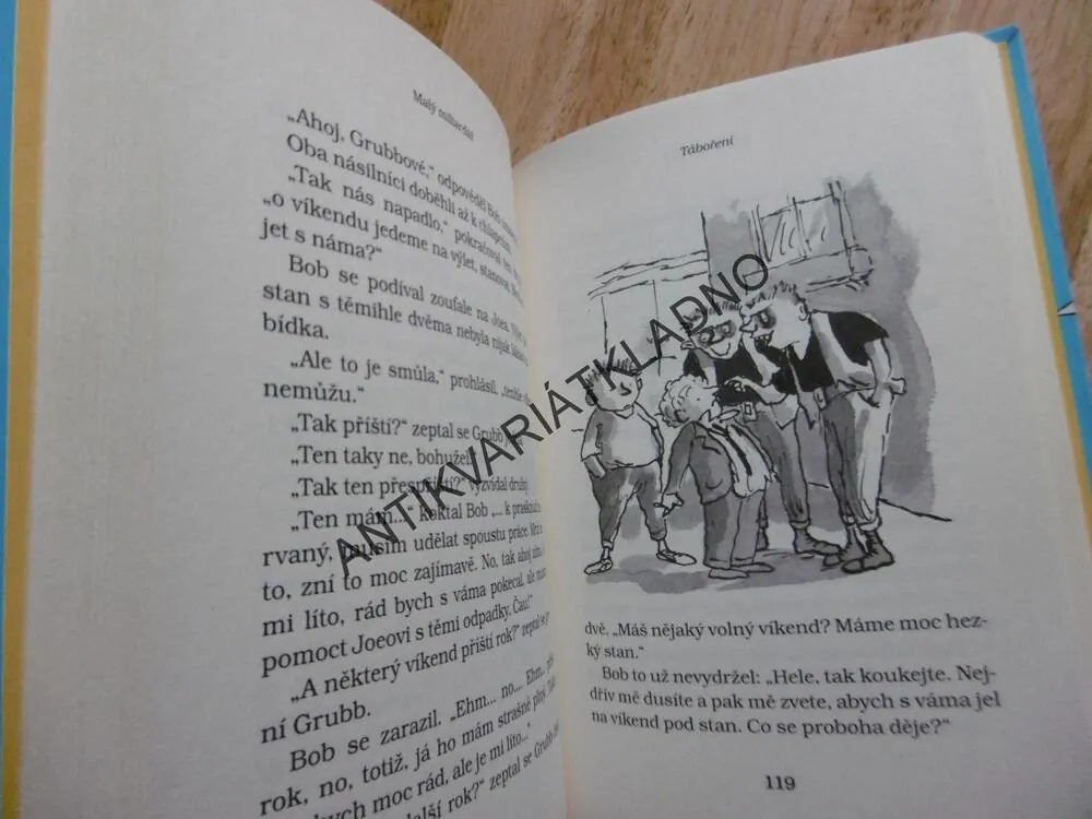 MALÝ MILIARDÁŘ, DAVID WALLIAMS, ZÁBAVA ZA VŠECHNY PENÍZE, **an