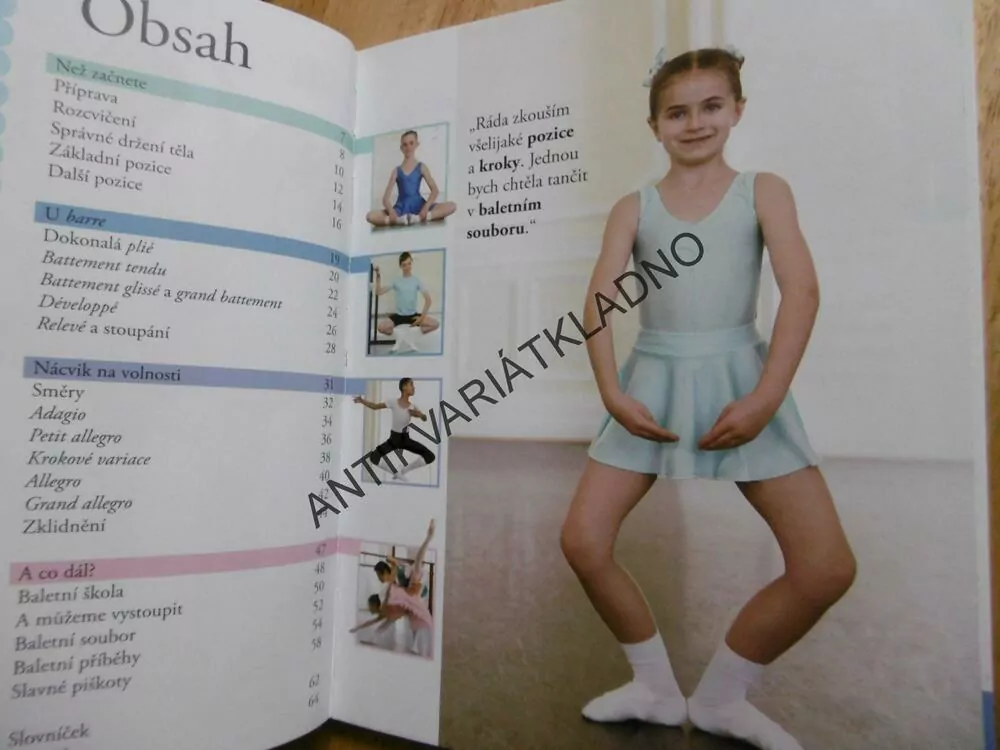 JAK NA BALET, PRŮVODCE TAJEMSTVÍM BALETU KROK ZA KROKEM