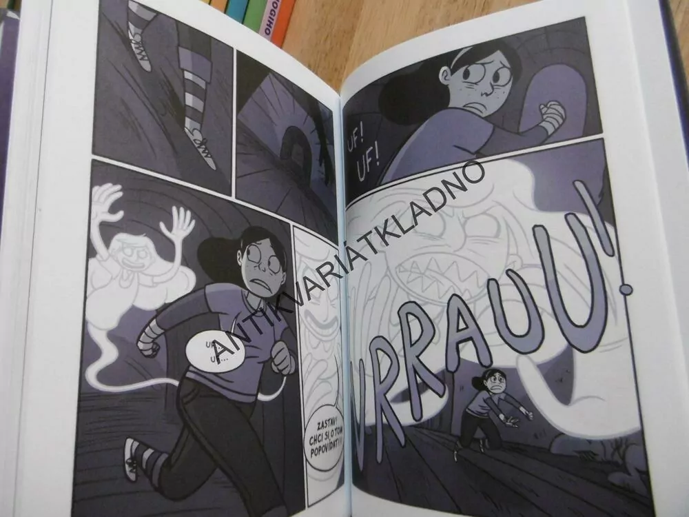 ANIN DUCH, VERA BROSGOLOVÁ, KOMIKS
