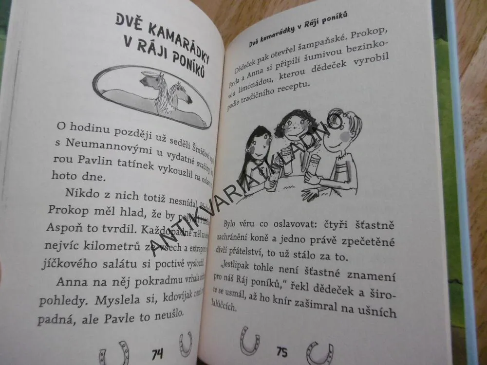 RÁJ PONÍKŮ, ŠTĚSTÍ MÁ ČTYŘI NOHY, CHRISTINA KOENIGOVÁ, **an