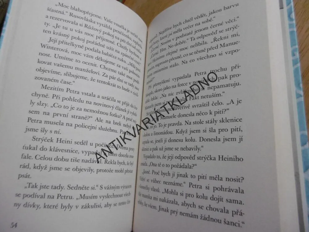 ZÁHADNÉ ZMIZENÍ, HOLKY NA STOPĚ, BARBARA WENDELKENOVÁ, **an