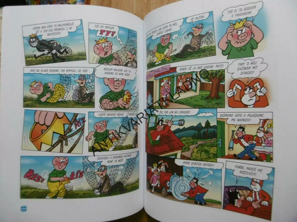 4 TAJEMSTVÍ ČTYŘLÍSTKU, ČTYŘLÍSTEK, JAROSLAV NĚMEČEK, LAMKOVÁ, ŠTÍPLOVÁ