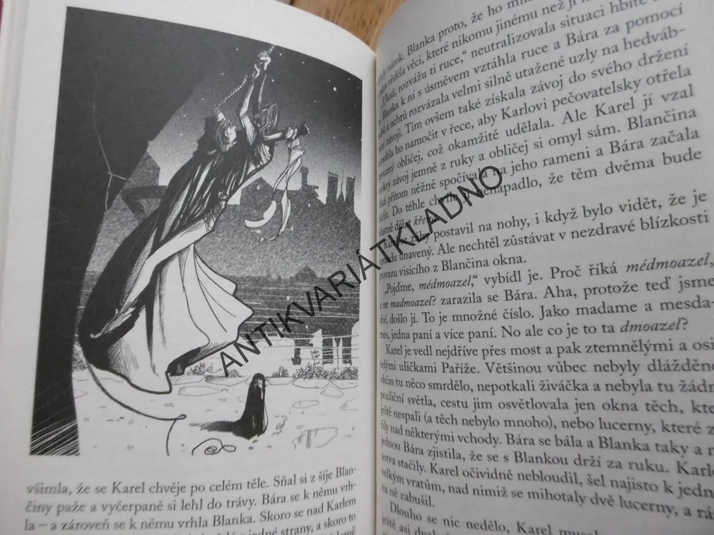 KAREL IV. PŘÍBĚH ČESKÉHO KRÁLE, DOBRODRUŽNÉ VÝPRAVY DO MINULOSTI, VERONIKA VÁLKOVÁ, PETR KOPL, **an