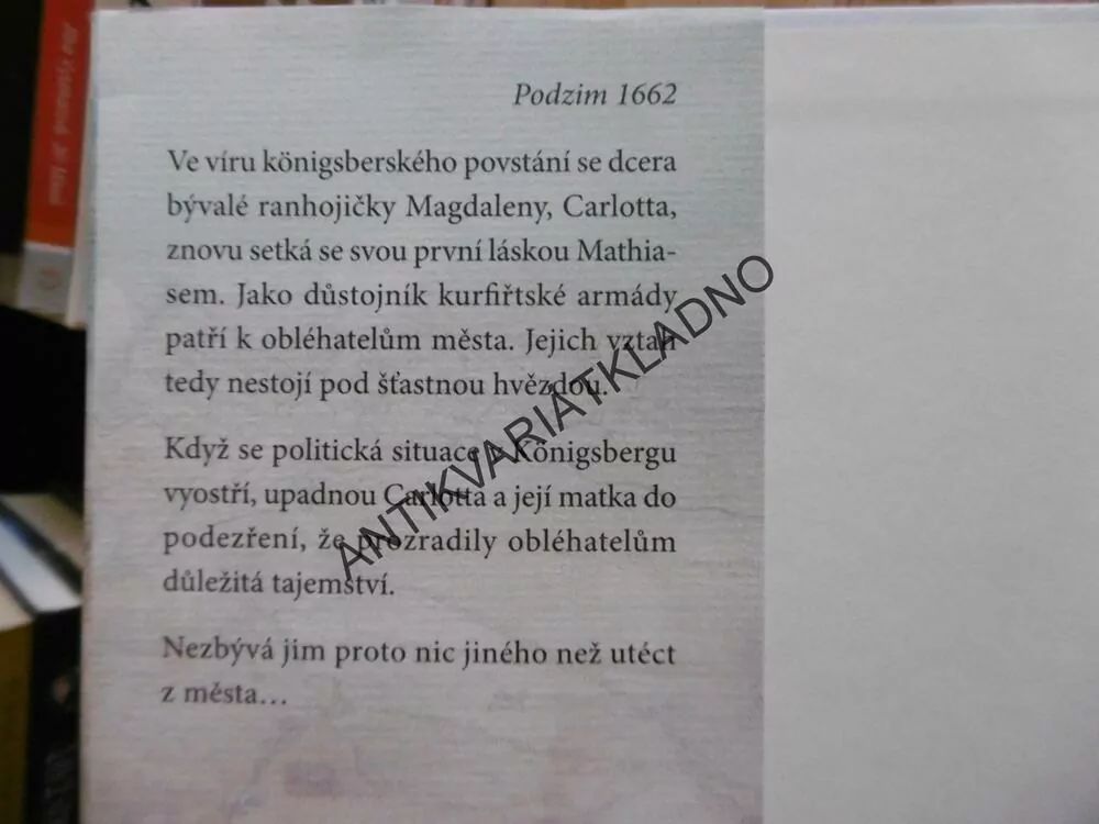 JANTAROVÉ DĚDICTVÍ, HEIDI REHNOVÁ, **an