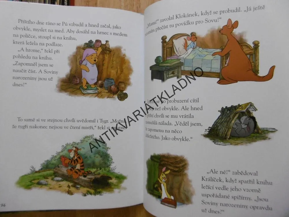 MEDVÍDEK PÚ, NAROZENINOVÉ ČTENÍ, WALT DISNEY