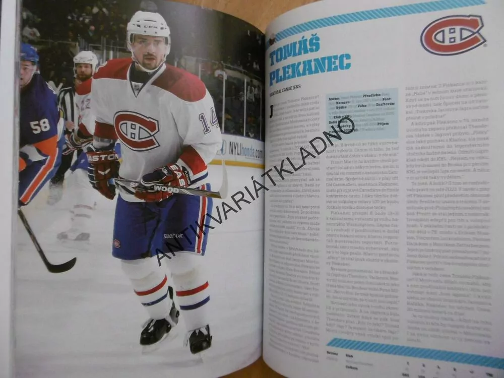 HVĚZDY NHL 2011, ČEŠI A SLOVÁCI V SEZONĚ 2009/10, HOKEJ SPORT, 