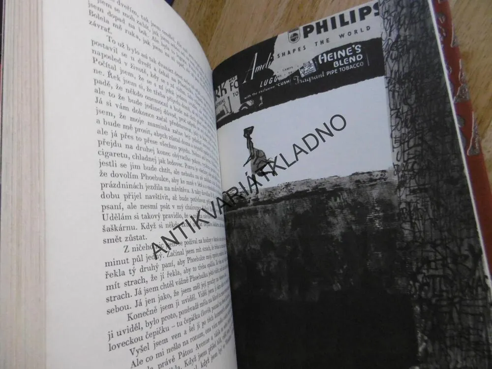 KDO CHYTÁ V ŽITĚ, J.D. SALINGER, **an