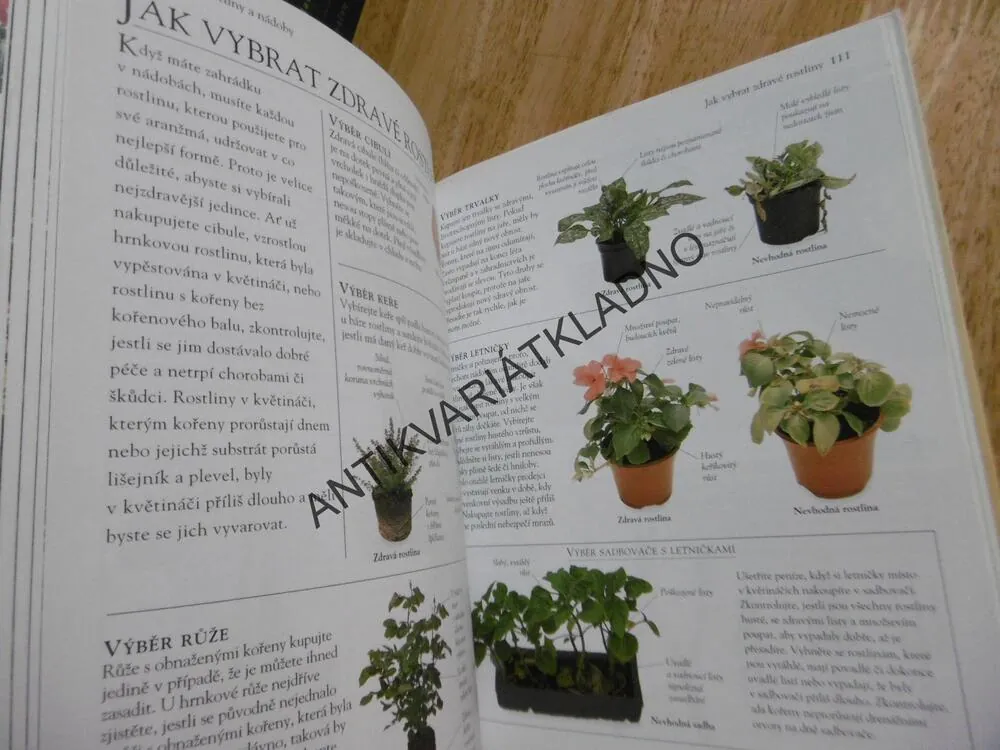 ZAHRADNÍKEM BEZ ZAHRADY, GAY SEARCHOVÁ, **an