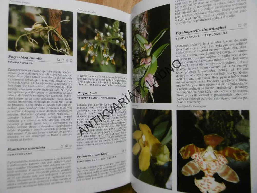 ENCYKLOPEDIE ORCHIDEJE, ZDENĚK JEŽEK