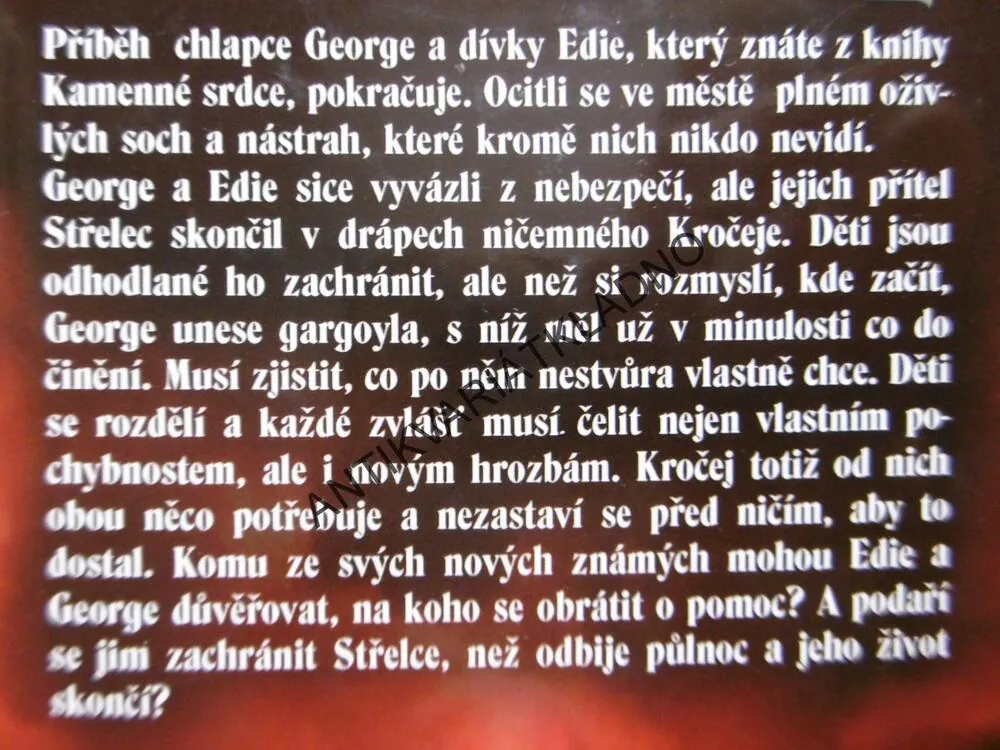 ŽELEZNÁ RUKA, CHARLIE FLETCHER, **an