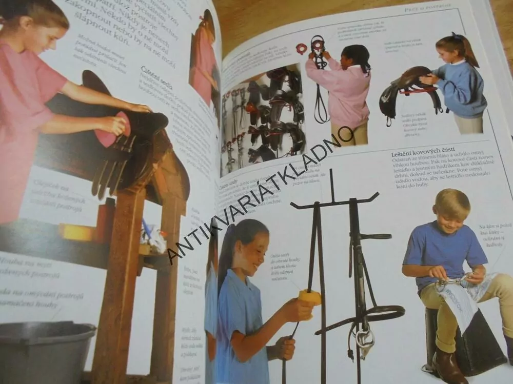 ABECEDA JEZDECTVÍ, PRŮVODCE PRO MILOVNÍKY KONÍ,KŮŇ, **an