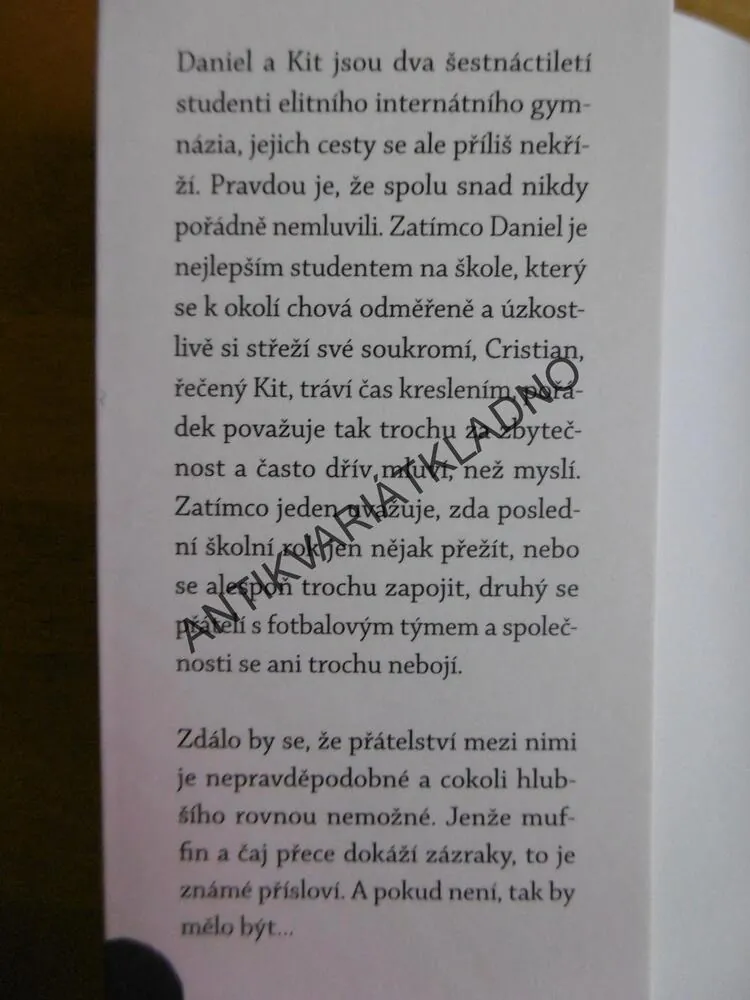 MUFFIN A ČAJ, THEO ADDAIR, 