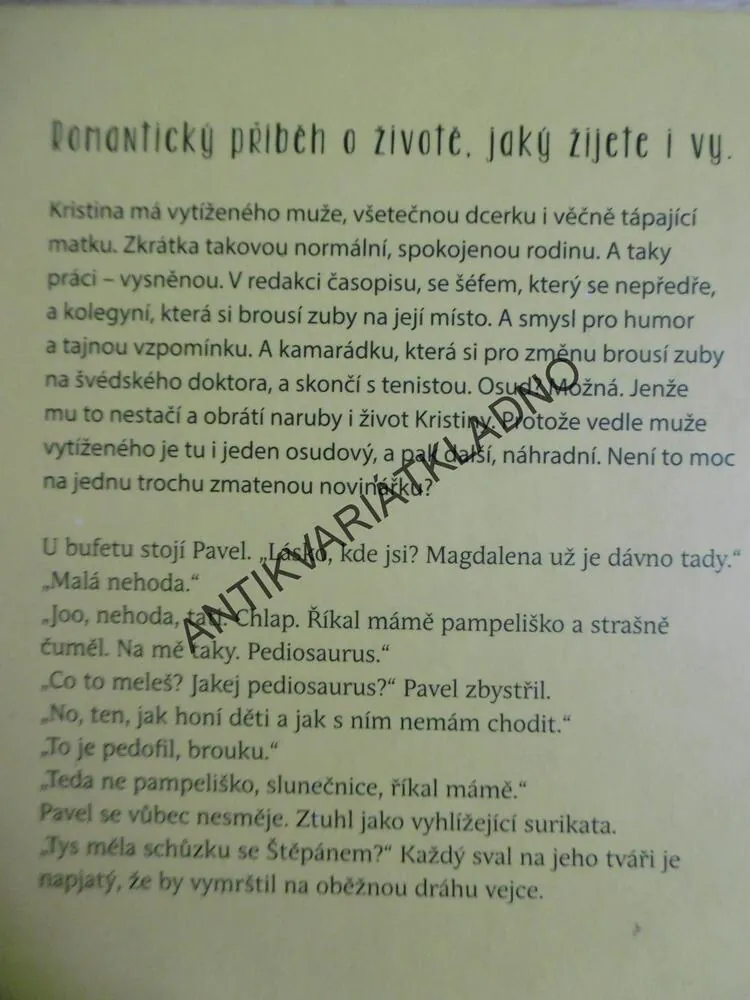 SLUNEČNICE, KLÁRA MANDAUSOVÁ, **an