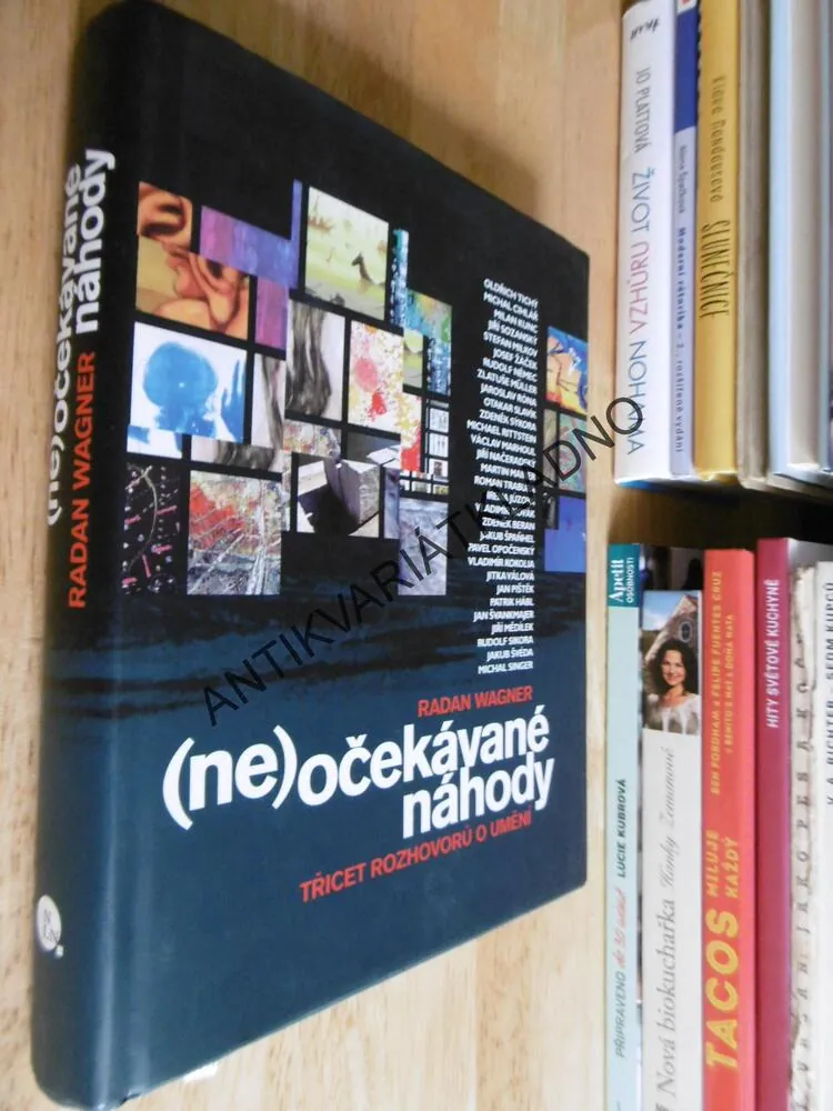 NEOČEKÁVANÉ NÁHODY, RADAN WAGNER, TŘICET ROZHOVORŮ O UMĚNÍ , UMĚNÍ VÝTVARNÉ, **an