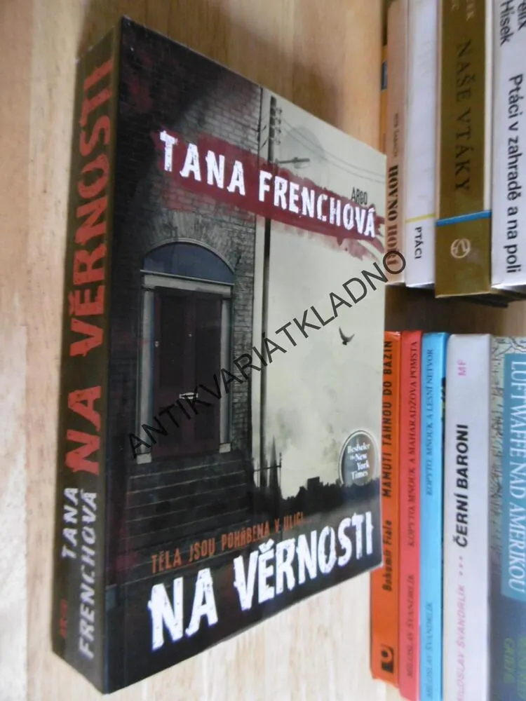 NA VĚRNOSTI, TANA FRENCHOVÁ,