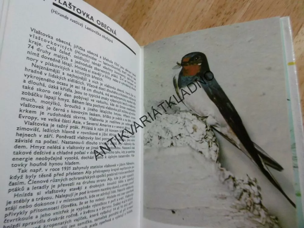 KAPESNÍ ATLAS PTÁKŮ, BOUCHNER, **an