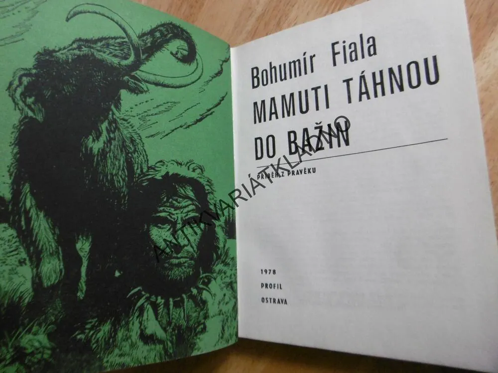 MAMUTI TÁHNOU DO BAŽIN, BOHUMÍR FIALA,