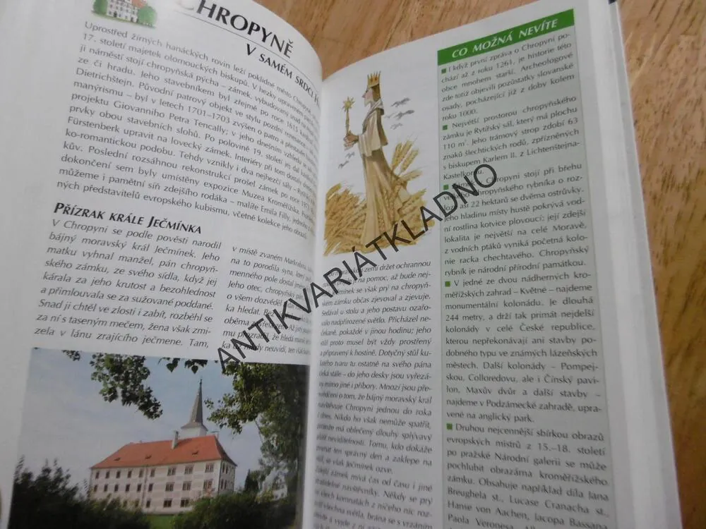 ZA STRAŠIDLY NA HRADY A ZÁMKY, P. DAVID, VLADIMÍR SOUKUP, **an