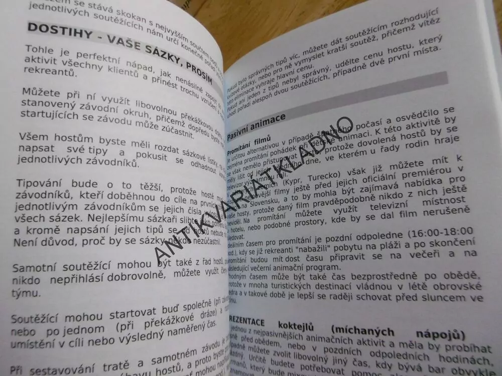 ANIMÁTOR VOLNÉHO ČASU, PŘÍRUČKA PRO ZAČÍNAJÍCÍ ANIMÁTORY, **an
