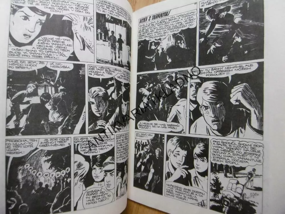 CHATA V JEZERNÍ KOTLINĚ, FOGLAR, MARKO ČERMÁK, KOMIKS,