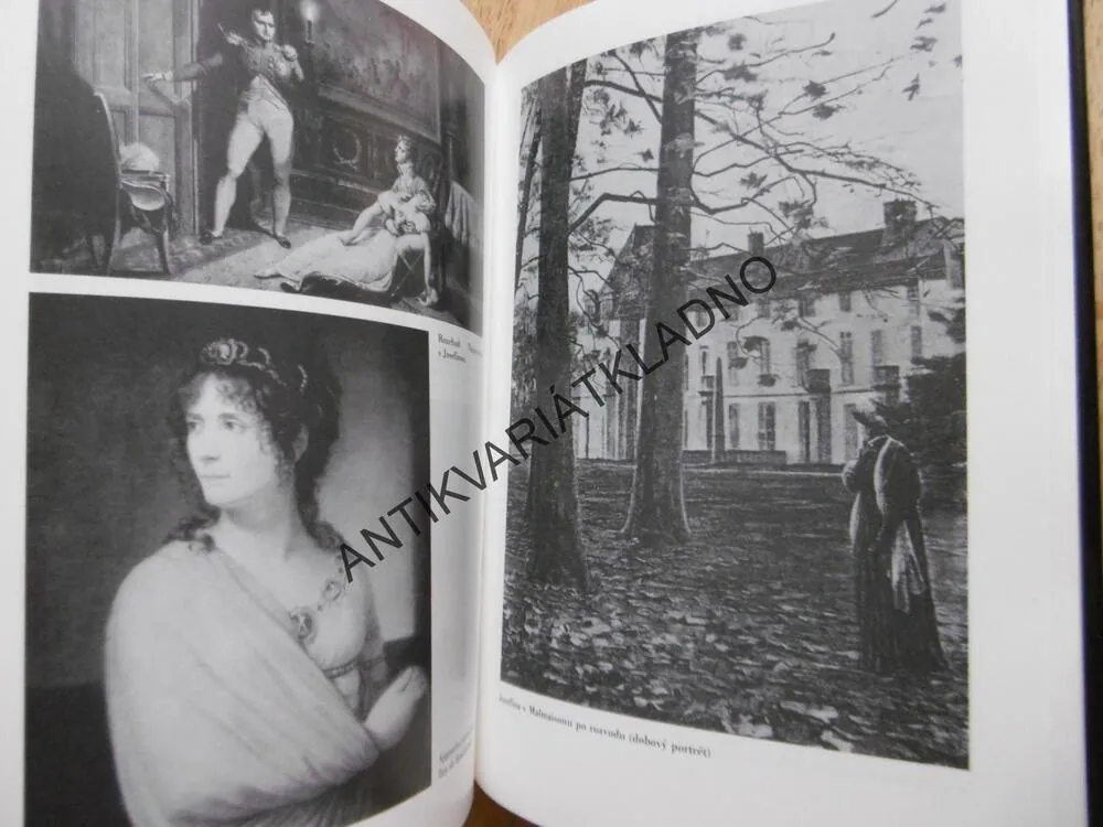 NAPOLEON A JOSEFÍNA, PŘÍBĚH LÁSKY, THEO ARONSON, **an
