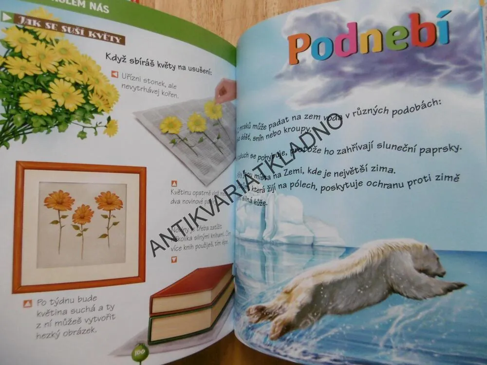 PŘÍRODA KOLEM NÁS, DĚTSKÁ ILUSTROVANÁ ENCYKLOPEDIE, **an