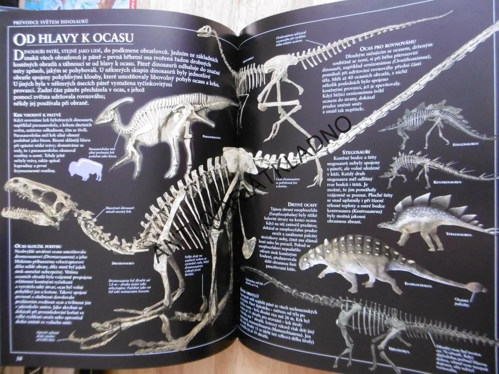PRŮVODCE SVĚTEM DINOSAURŮ, DAVID LAMBERT, DINOSAUŘI, **an