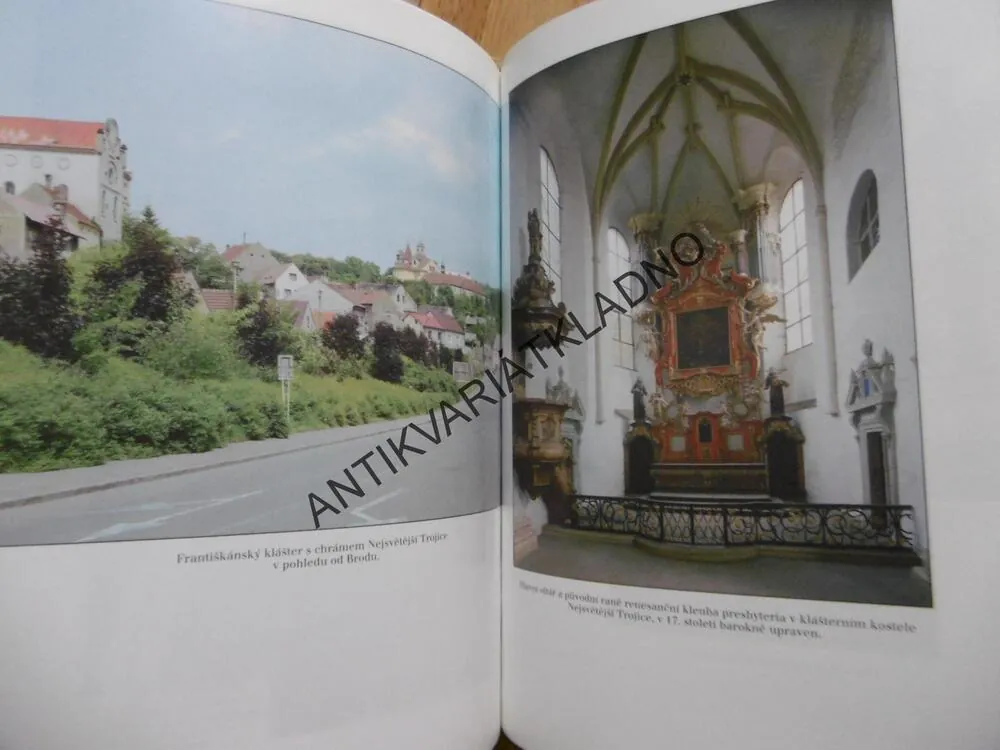 KNIHA O SLANÉM, SLANÝ, OKR. KLADNO, 1994, obal pěkný,**an
