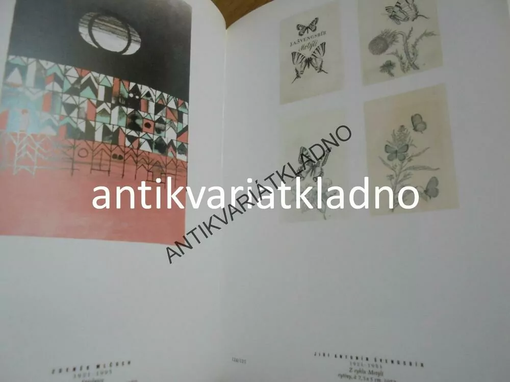 ČESKÁ GRAFIKA 20.ST., HOLLAR, UMĚNÍ VÝTVARNÉ