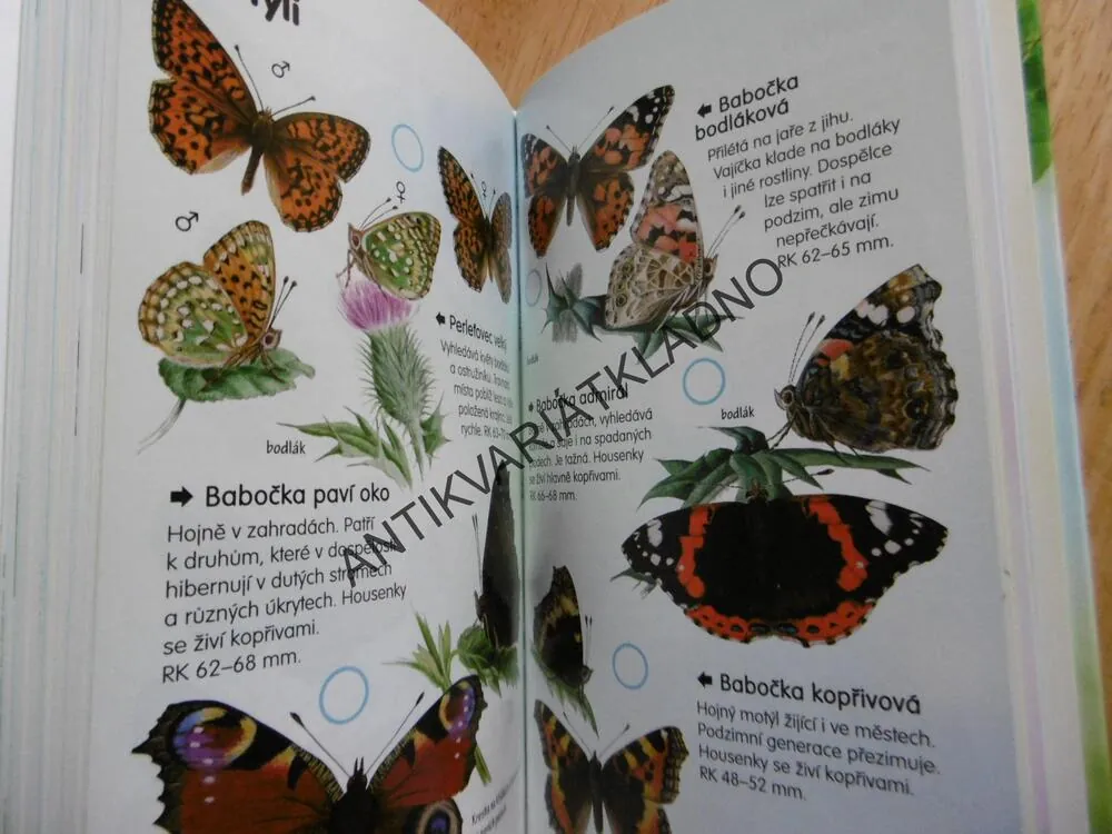 PRŮVODCE PŘÍRODOU DO KAPSY, KVĚTINY, STROMY, PTÁCI, HMYZ, **an